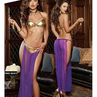 Sexy Gold and Purple Harem Princess Roleplay Costume